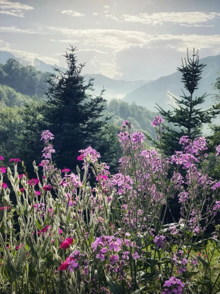 Ambiance chaleureuse et authentique Grange de Bâa Hautes Pyrénées